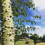 리조트 Sacuba & Botanic Golf Club