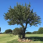 리조트 Sacuba & Botanic Golf Club 올비아
