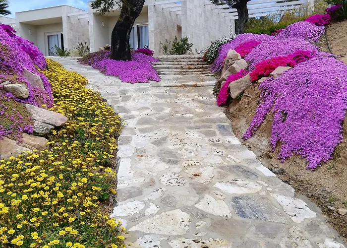 אתר נופש Sacuba & Botanic Golf Club אולביה